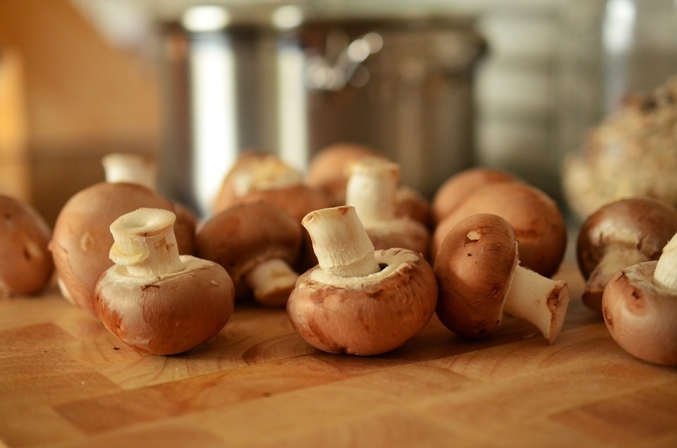 Estudo confirma importância do consumo de cogumelos