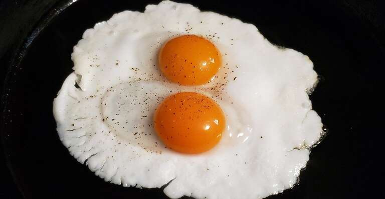 Comer um ovo por dia pode aumentar o risco de morte