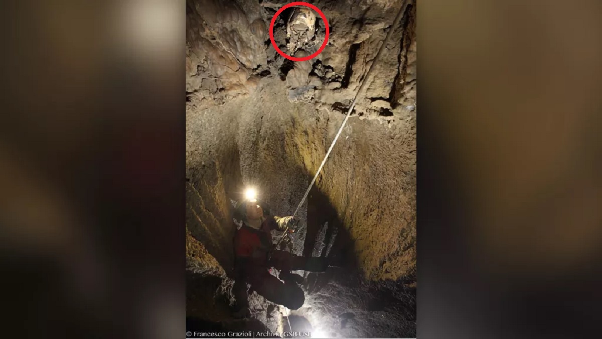 Crânio misterioso encontrado em caverna da Itália tem quase 6.000 anos