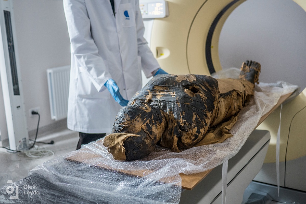 Cientistas identificam a primeira múmia egípcia grávida da história
