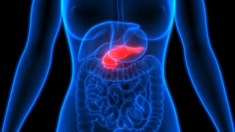 Diabéticos do Reino Unido testarão “pâncreas artificial” que elimina uso de medidor de glicose