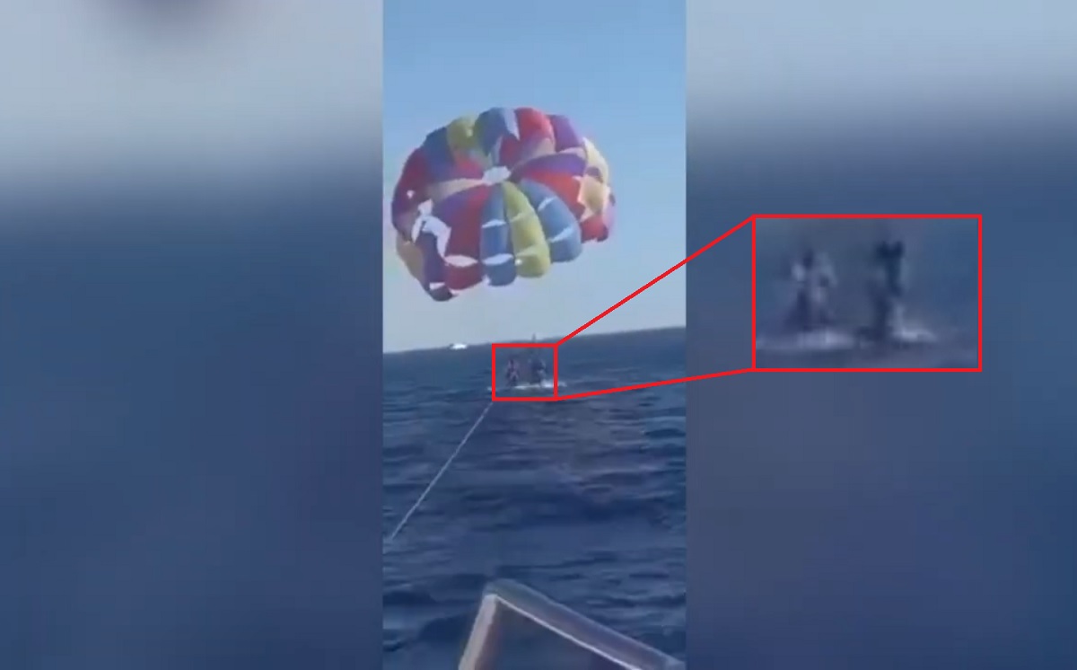Flagrante em vídeo: homem é atacado por tubarão enquanto voa de parapente