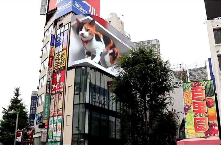 Gato malhado gigante em 3D faz sucesso em Tóquio