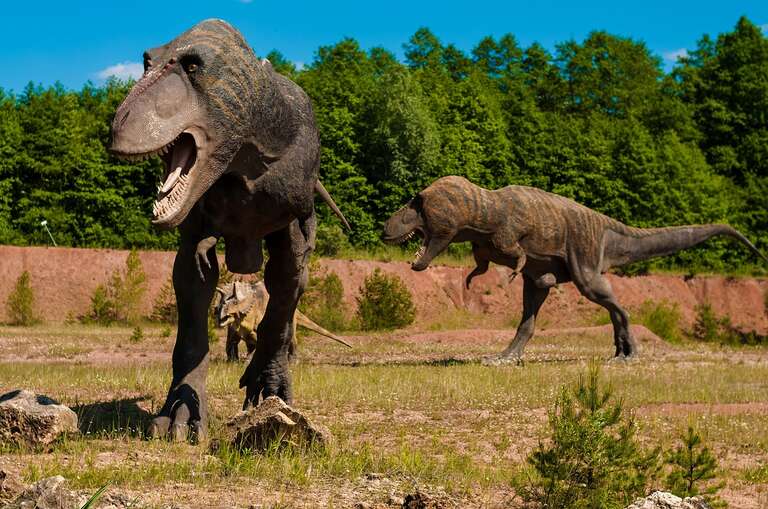 Dinossauros já estavam desaparecendo antes do fatídico asteroide
