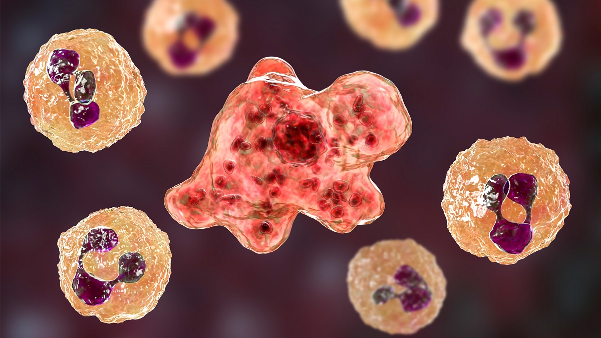 Criança morre após ser infectada por ameba “comedora” de cérebro nos EUA