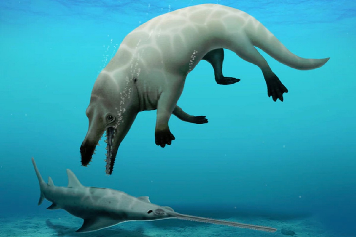 Conheça a baleia quadrúpede que viveu há 43 milhões de anos