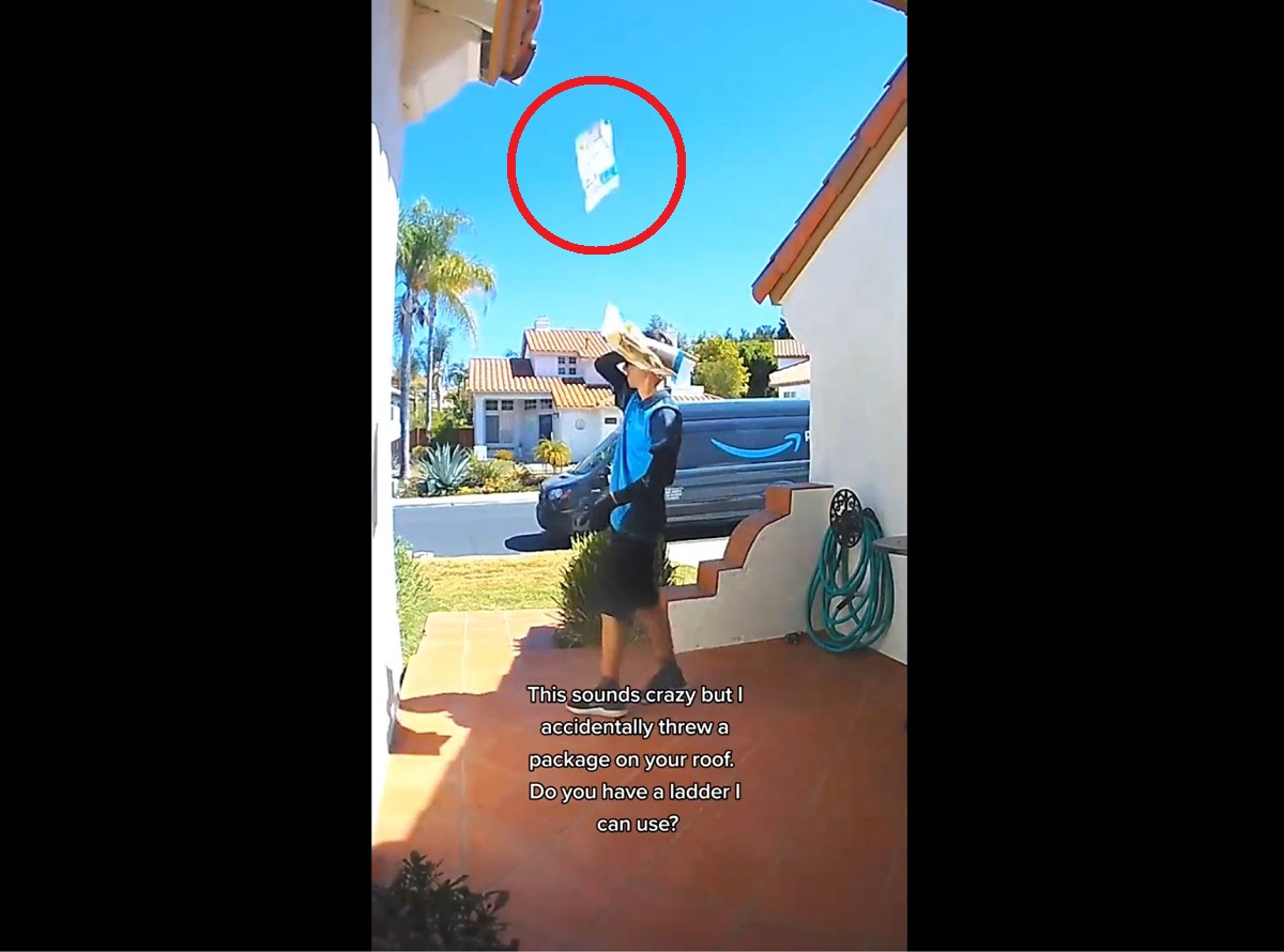 VÍDEO: ao tentar espantar inseto, entregador joga encomenda no telhado