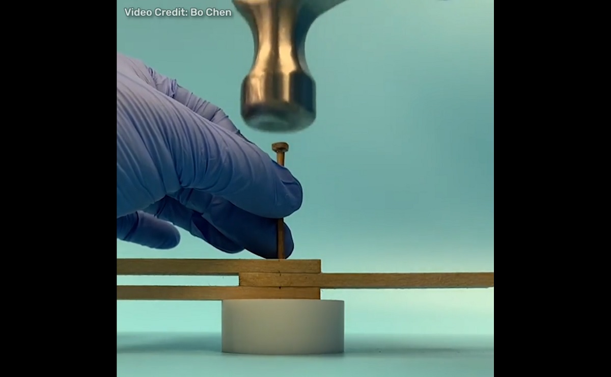 Cientistas criam faca de madeira três vezes mais afiada que a de aço