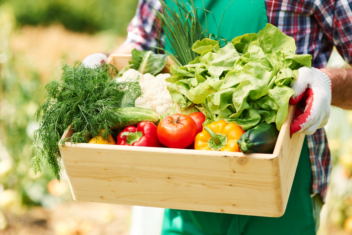 Consumo regular de vegetais pode evitar impotência nos homens, diz estudo