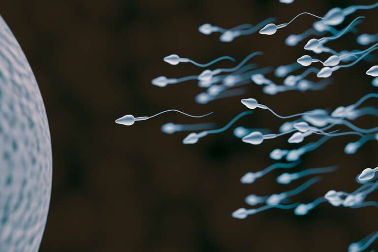 Covid-19 afeta a qualidade do esperma meses após a recuperação do paciente