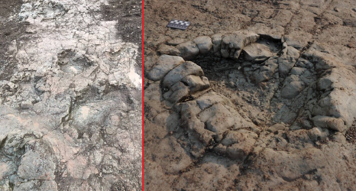 Morador encontra pegadas de dinossauro de 200 milhões de anos no País de Gales