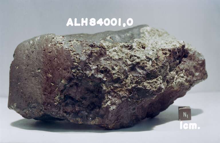 Polêmico meteorito descoberto nos anos 1980 não possui sinais de vida primitiva de Marte