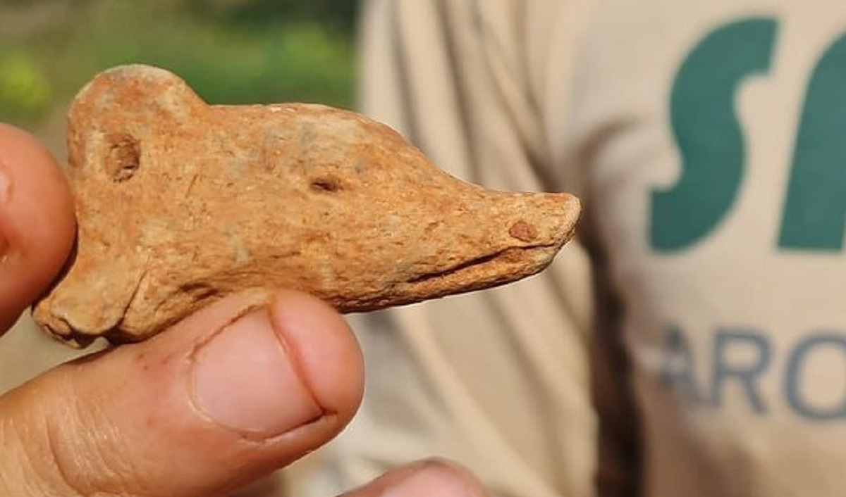 VÍDEO: empresa de arqueologia encontra artefatos de mais de 3.000 anos em Goiás