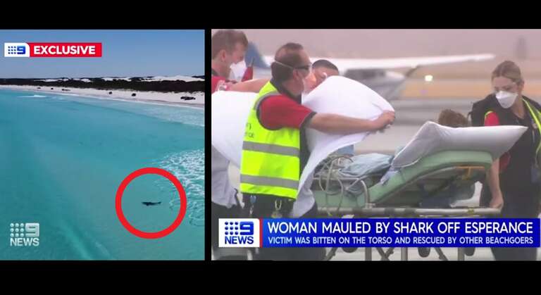 VÍDEO: mulher é atacada por tubarão em praia da Austrália Ocidental