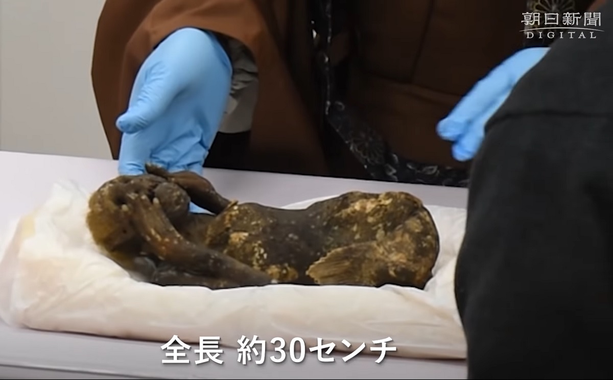 Mistério da múmia da “sereia” adorada em templo do Japão deve ser desvendado ainda em março