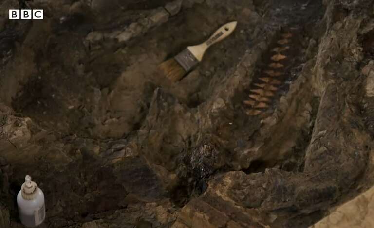 Cientistas dizem ter achado vestígio de dinossauro que morreu após o impacto do asteroide há 66 milhões de anos