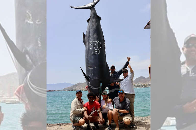 VÍDEO: grupo de pescadores da África do Sul captura marlim-azul gigante, de 621 kg