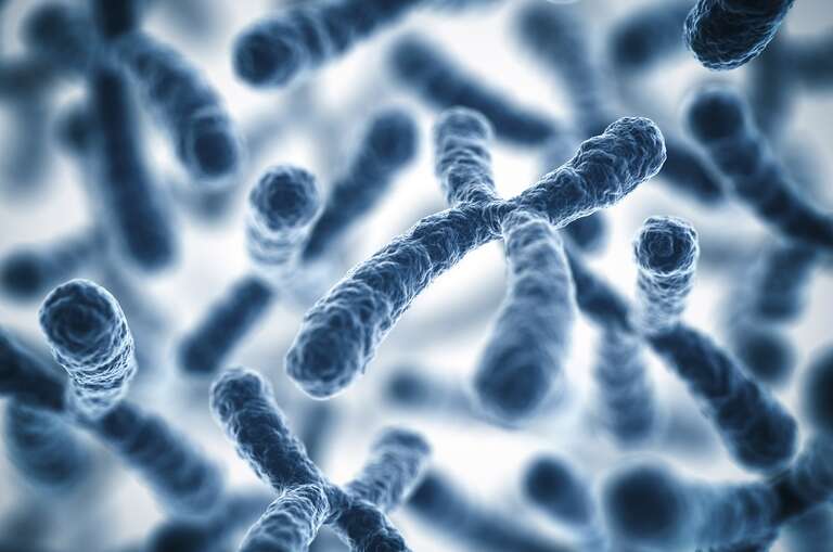 Um em cada 500 homens pode ter cromossomo sexual a mais, o que aumenta risco de doenças