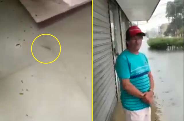 VÍDEO: torcedor do Athlético-PR é agredido por três rivais em São José dos Pinhais