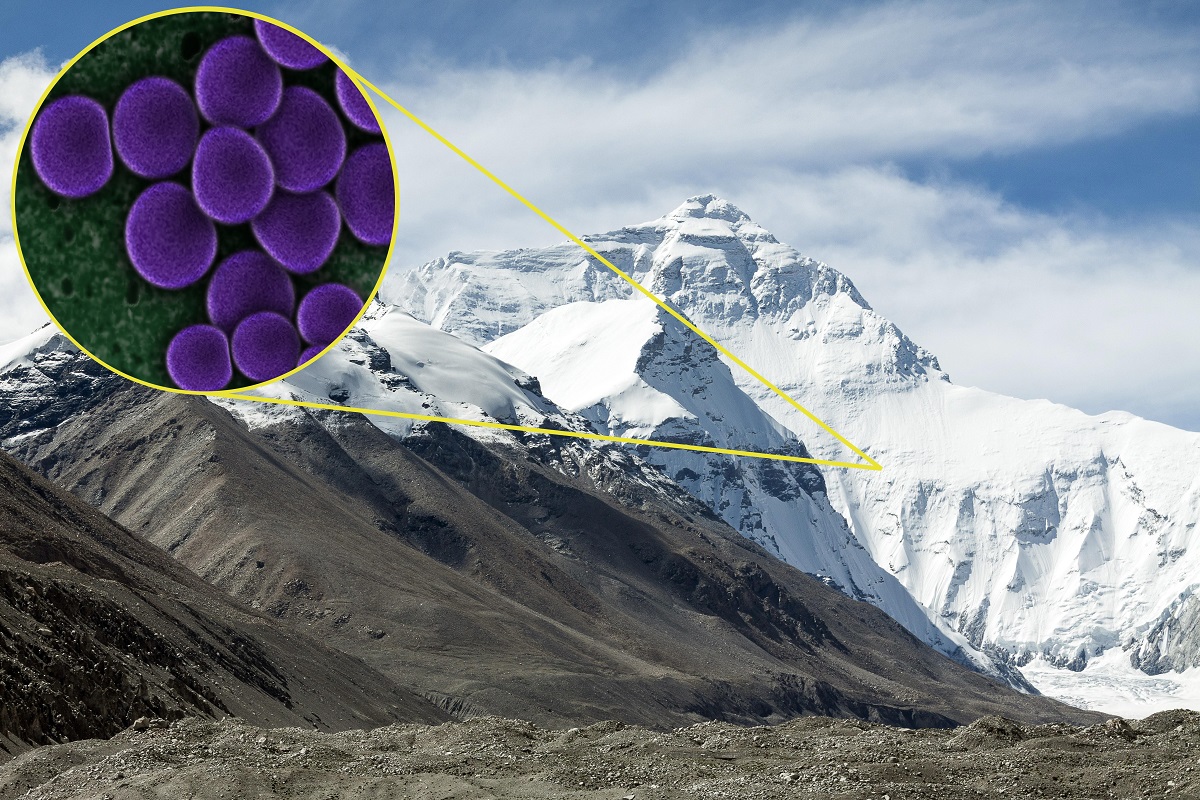 Cientistas encontram 968 espécies de micróbios nas geleiras do Tibete