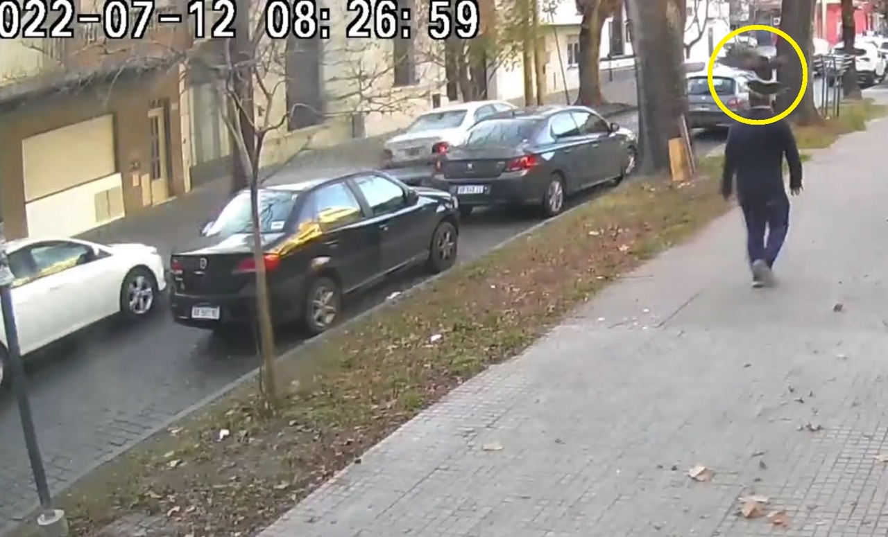 VÍDEO: câmera de segurança flagra águia atacando pedestre na Argentina