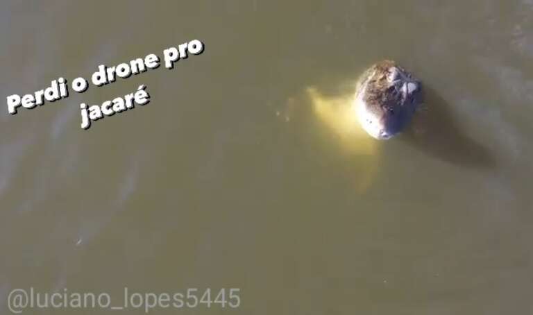 VÍDEO: drone "dá mole" e é abocanhado por jacaré no Tocantins
