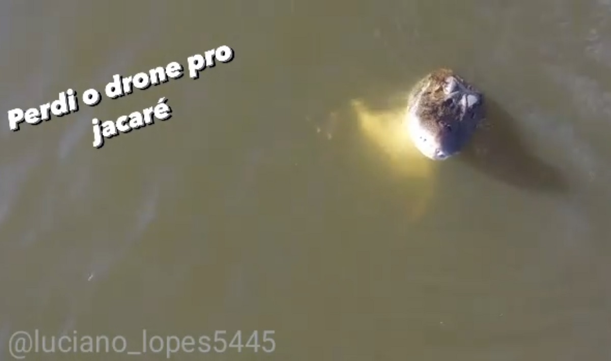 VÍDEO: drone &#34;dá mole&#34; e é abocanhado por jacaré no Tocantins