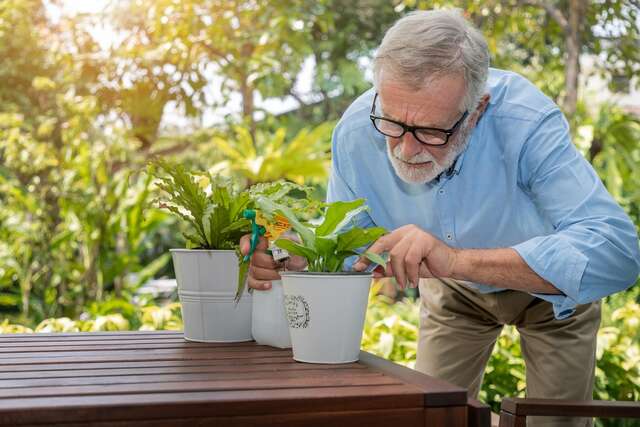 Ter até três doenças crônicas aos 55 anos aumenta em cinco vezes o risco de demência na velhice