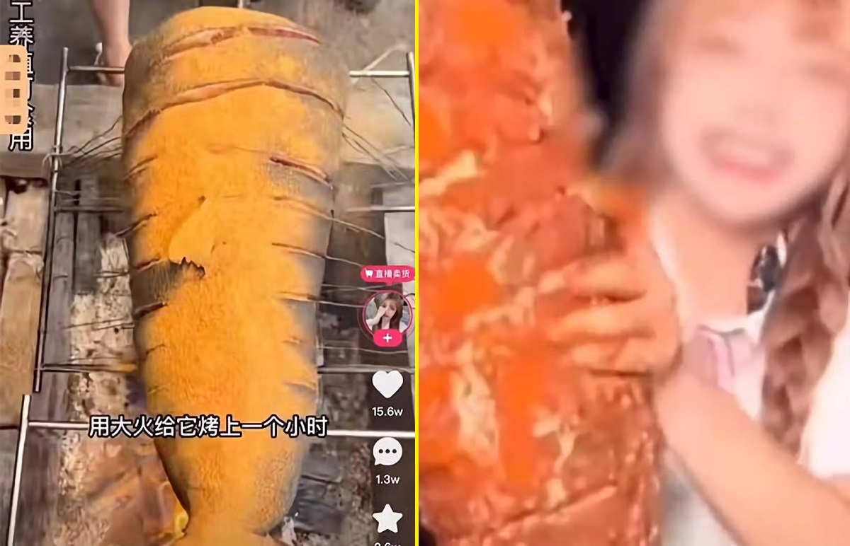Influenciadora chinesa está sendo investigada após assar e comer um tubarão-branco em vídeo