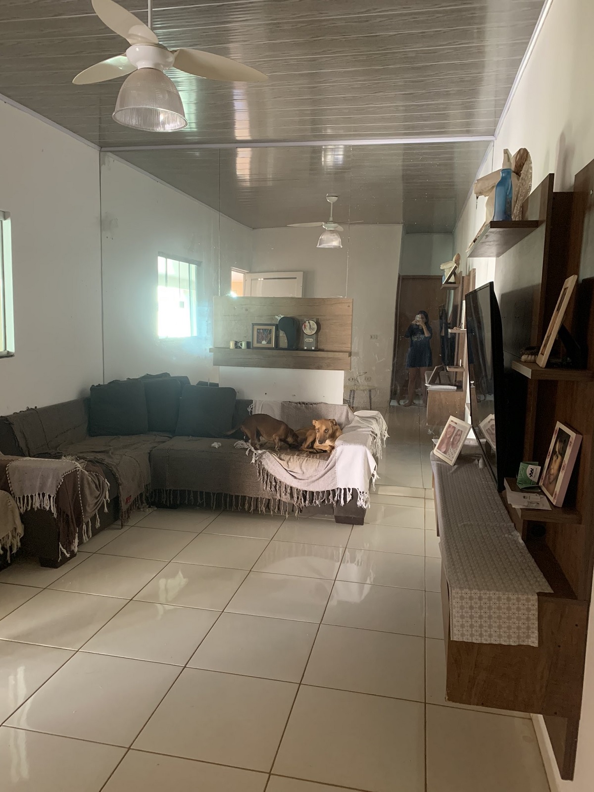 Brasileira tira foto de suposto fantasma em apartamento do falecido pai e viraliza no Twitter