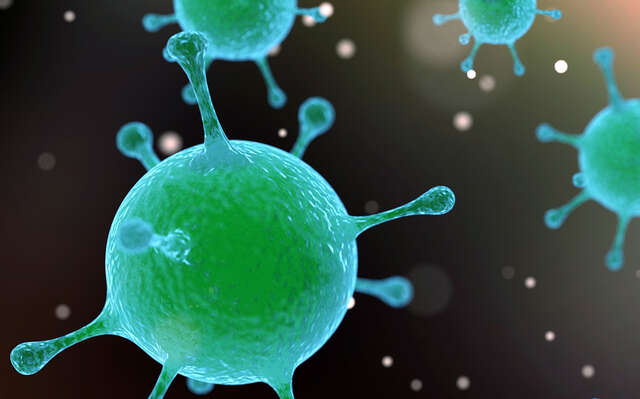 Fundação Bill & Melinda Gates diz ter “solução” para a pandemia de covid-19