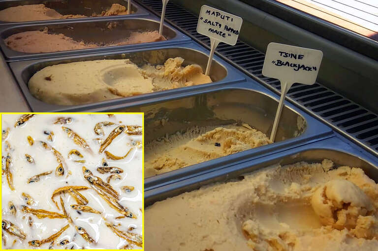 Sorveteria sul-africana faz sucesso com sorvete sabor peixe seco