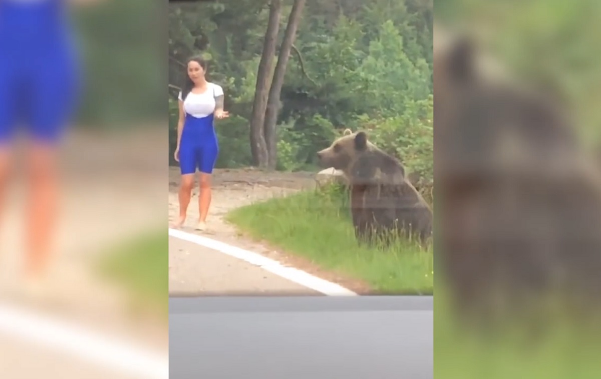 Vídeo do TikTok mostra selfie com urso que quase acaba em tragédia na Romênia