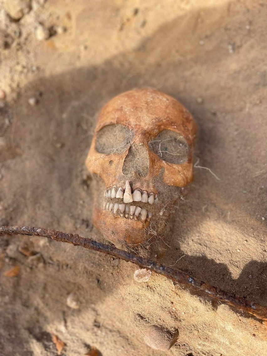 De forma inédita, arqueólogos encontram na Polônia um esqueleto de &#34;vampira&#34; com foice no pescoço