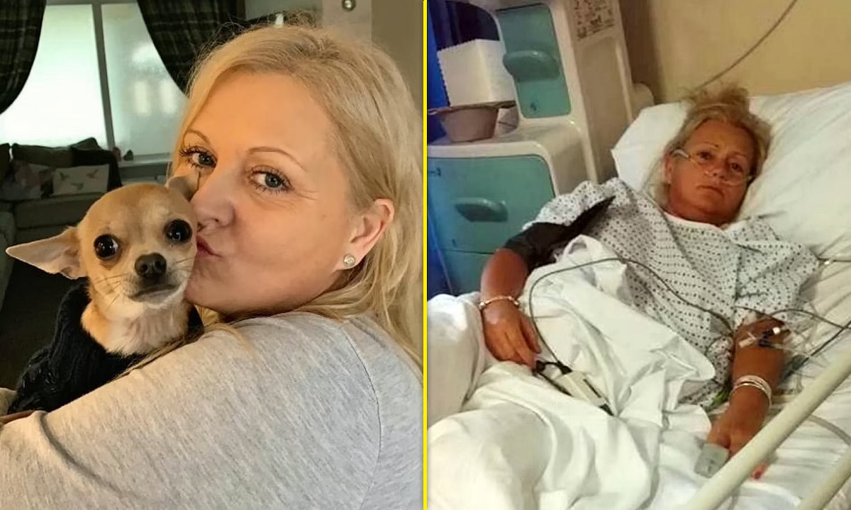 Britânica fica três dias no hospital após o cachorro da família fazer cocô na cara dela