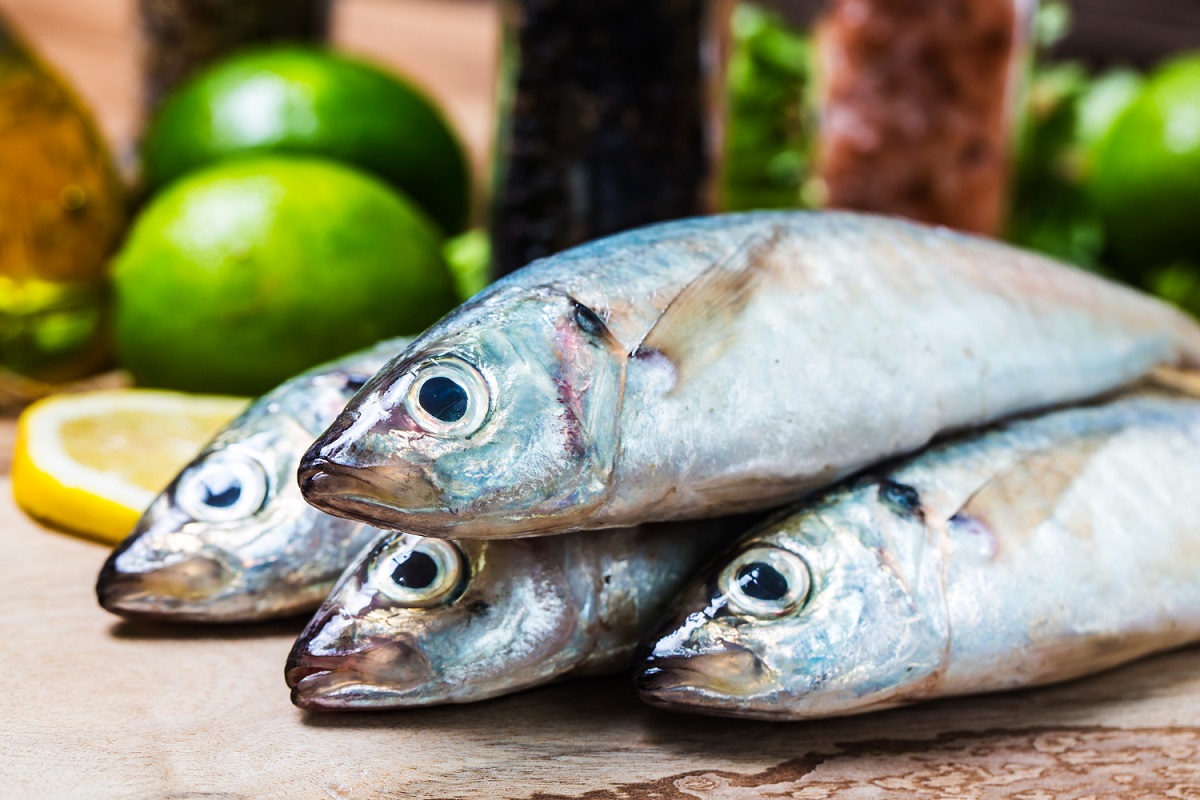 Comer peixe regularmente pode ajudar o cérebro de adultos de meia-idade, diz estudo