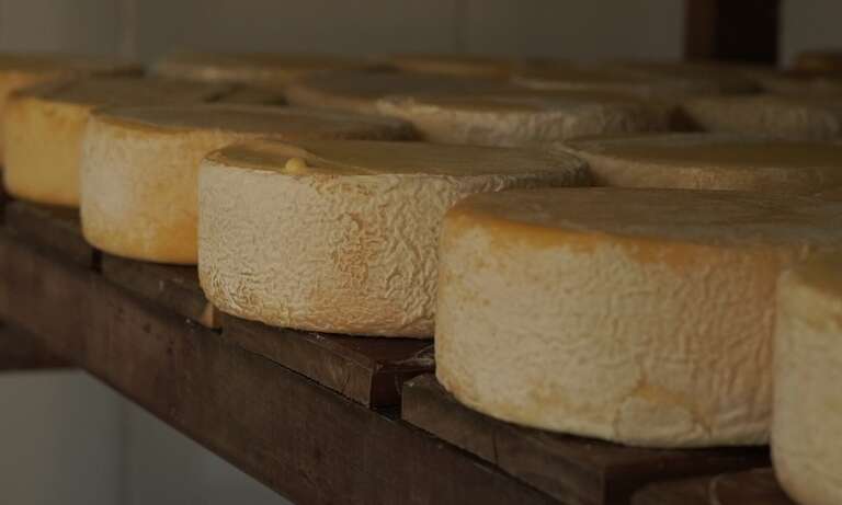 Minas Gerais tem dois queijos entre os 100 melhores do mundo