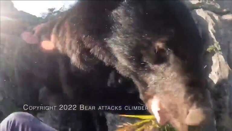 VÍDEO: alpinista luta com urso em meio às pedras em montanha do Japão