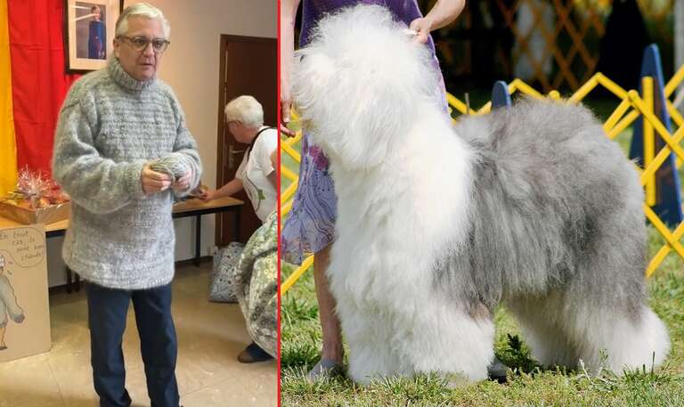 Príncipe da Bélgica é presenteado com inusitado suéter feito de pelo de cachorro