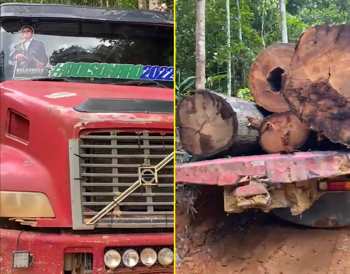 VÍDEO: internautas criticam adesivo pró-Bolsonaro em caminhão com suposta madeira ilegal no Pará