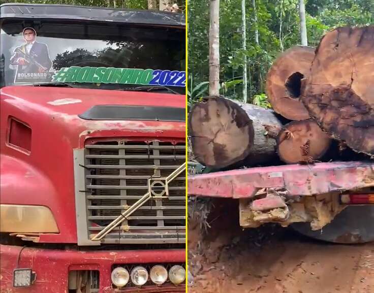 VÍDEO: internautas criticam adesivo pró-Bolsonaro em caminhão com suposta madeira ilegal no Pará