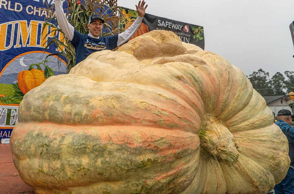 Abóbora gigante vence concurso e bate recorde de peso nos EUA com mais