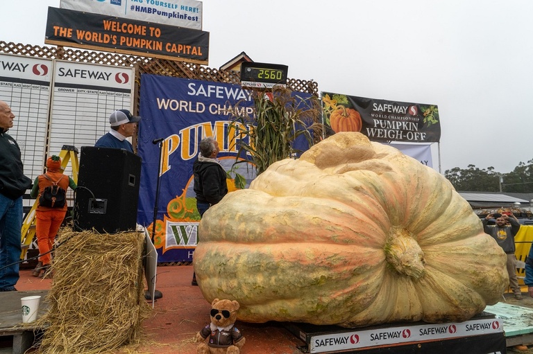 Abóbora gigante vence concurso e bate recorde de peso nos EUA com mais