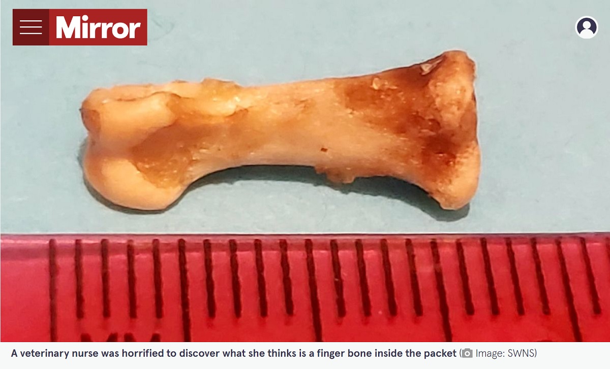 Canadense encontra suposto osso humano dentro de pacote de salgadinho vegano