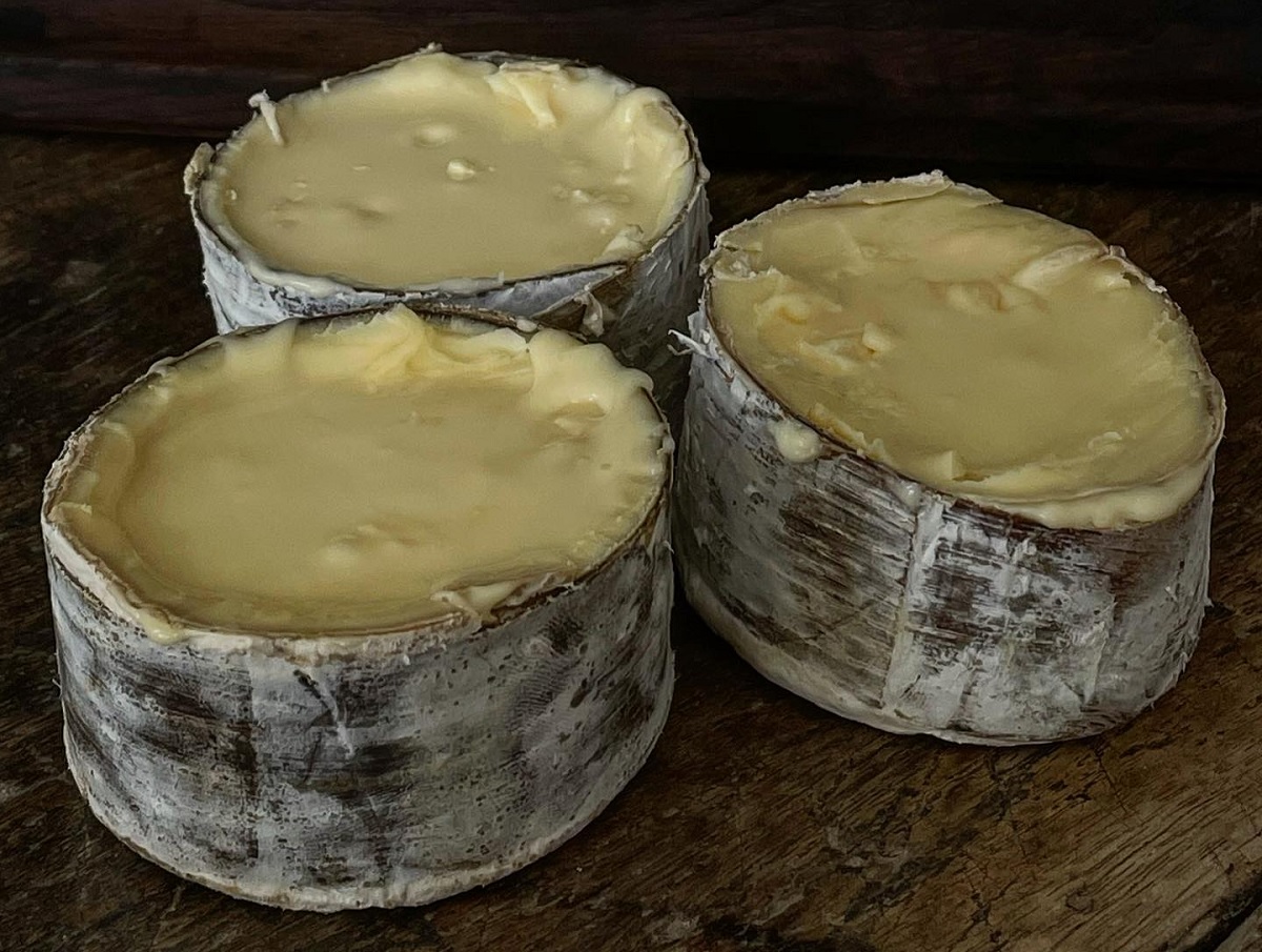 Brasil tem 15 queijos premiados no World Cheese Awards 2022, incluindo duas medalhas super ouro
