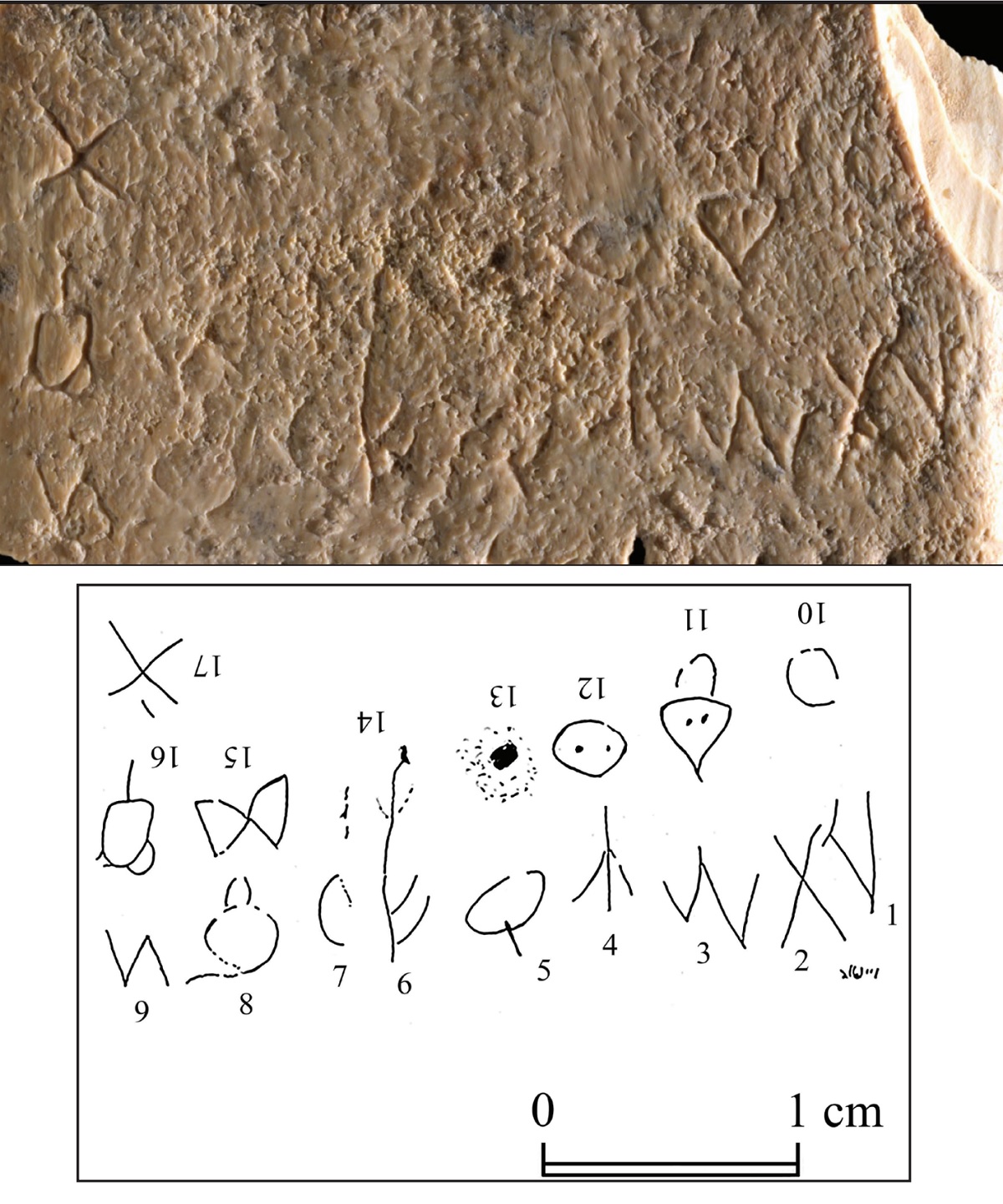 Pequeno pente de 3.700 anos usado para tirar piolho pode conter a mais antiga escrita ocidental