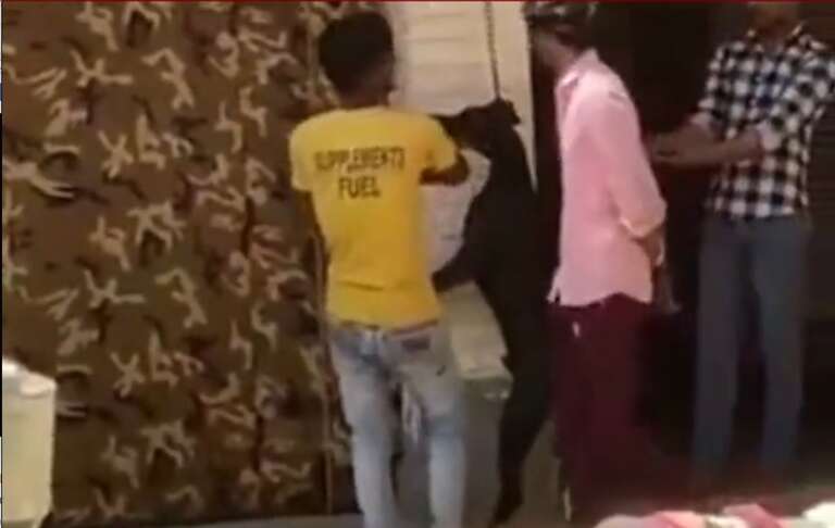 Vídeo revolta internautas ao mostrar homens enforcando e matando cachorro na Índia