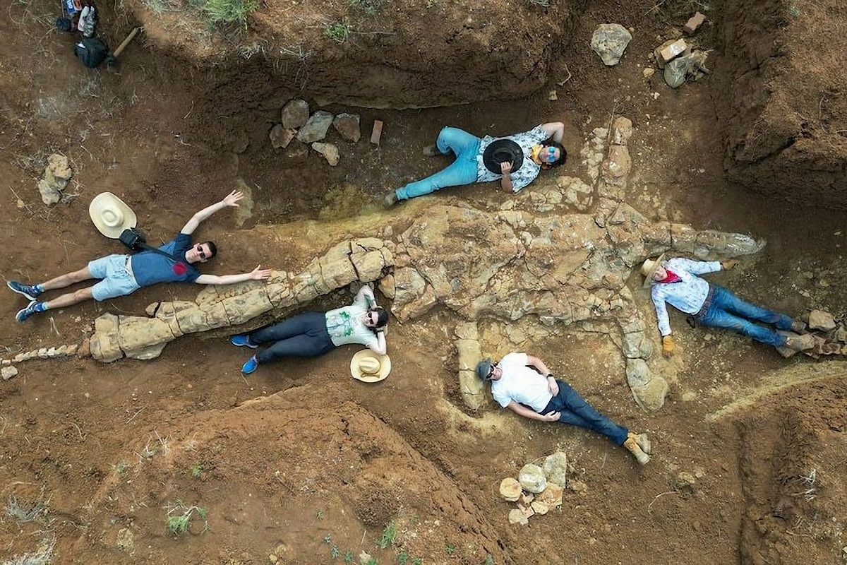 Pela primeira vez, fóssil completo de dinossauro marinho é encontrado na Austrália