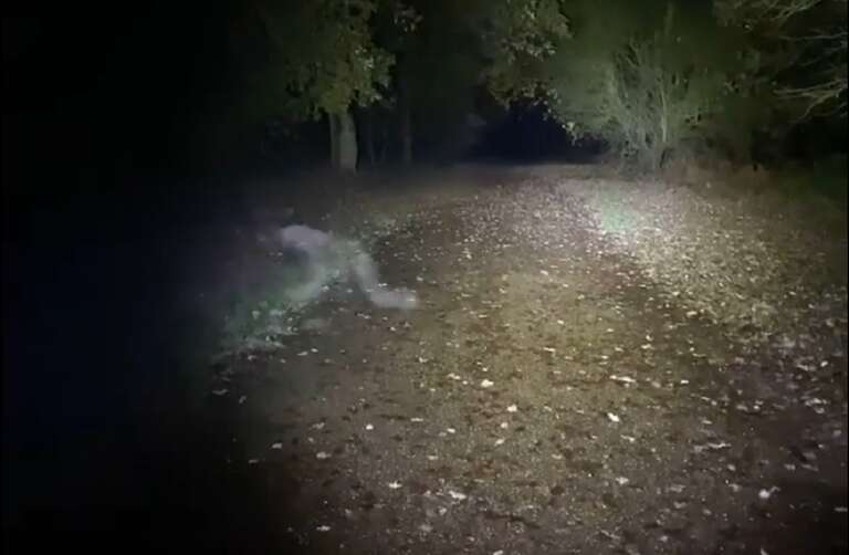 VÍDEO: casal captura suposto espírito demoníaco em parque nacional no Reino Unido