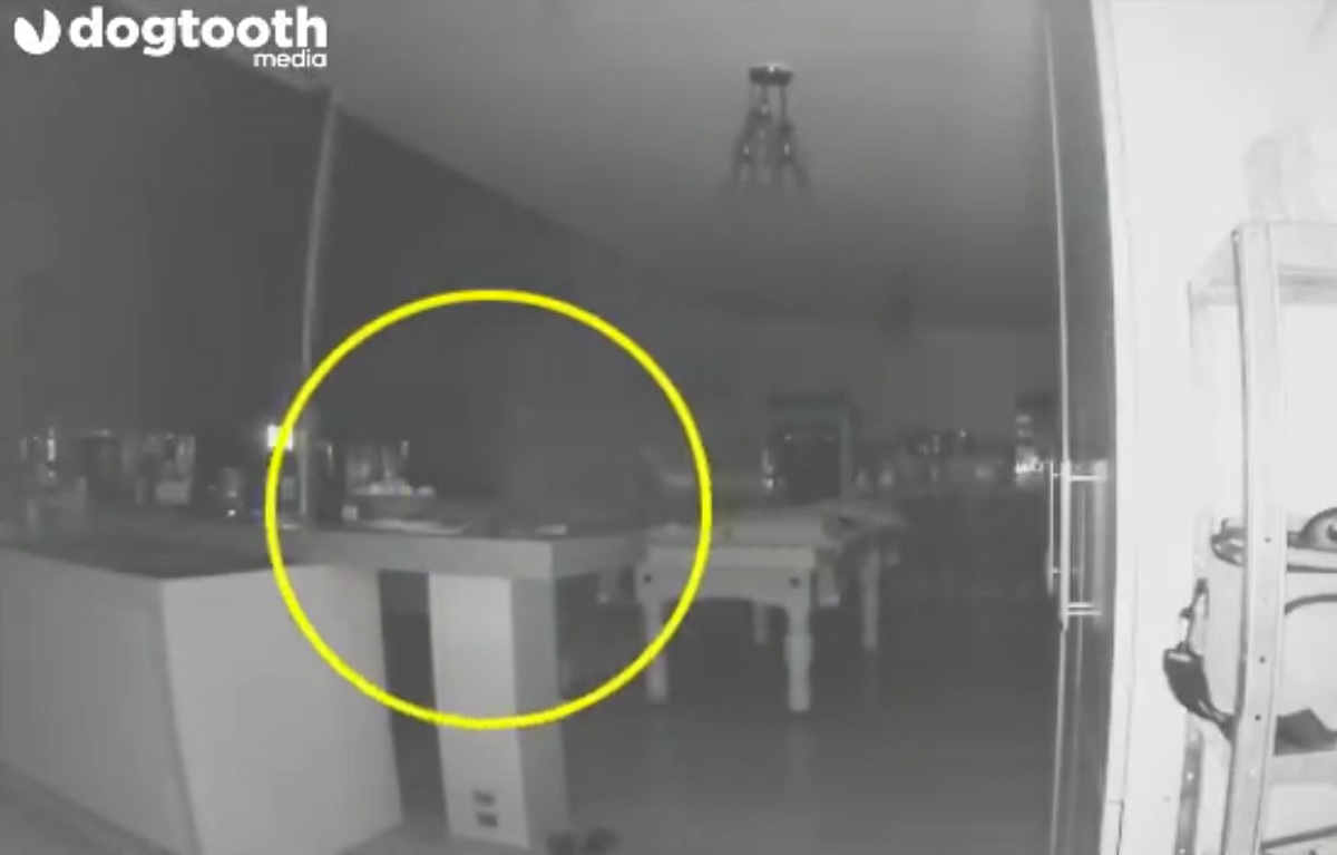 VÍDEO: casal da Austrália diz que câmera de segurança flagrou um fantasma andando com o cachorro da família